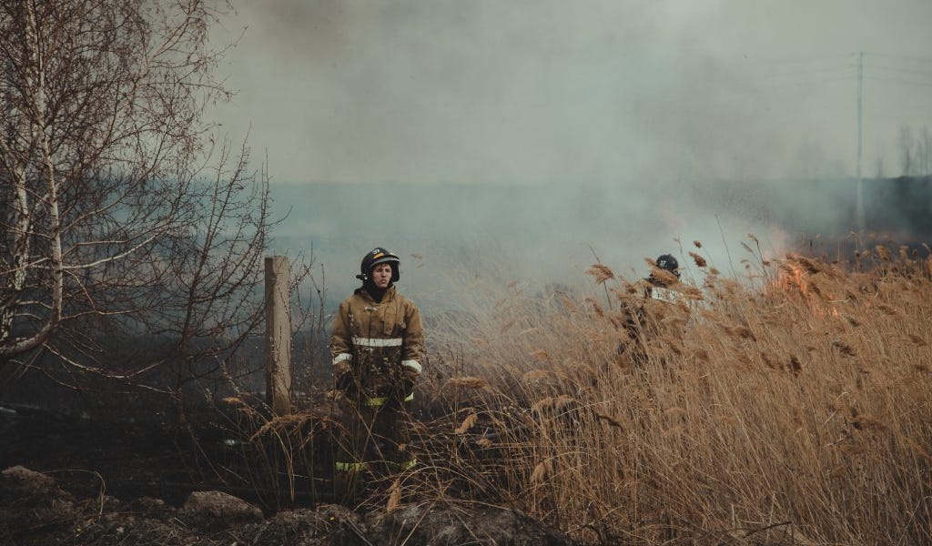 Complex Systems Won’t Survive the Competence Crisis