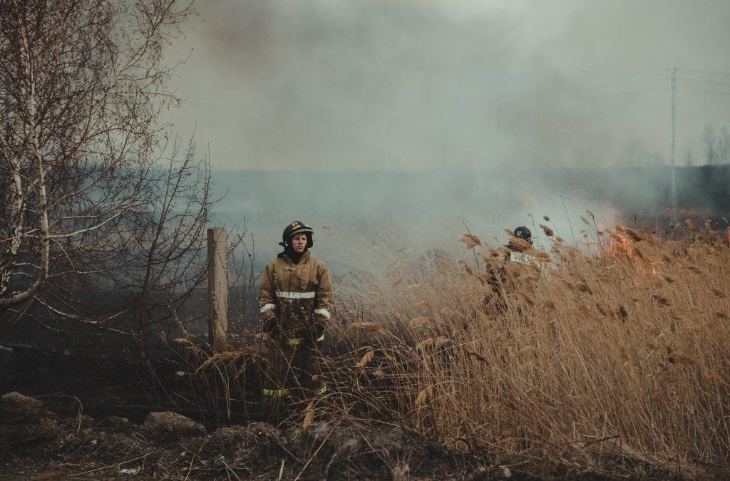 Complex Systems Won’t Survive the Competence Crisis