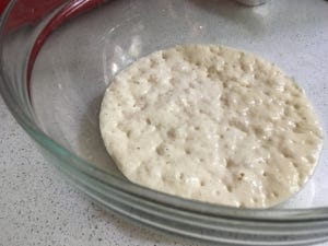  The starter when fully active - so bubbly! 