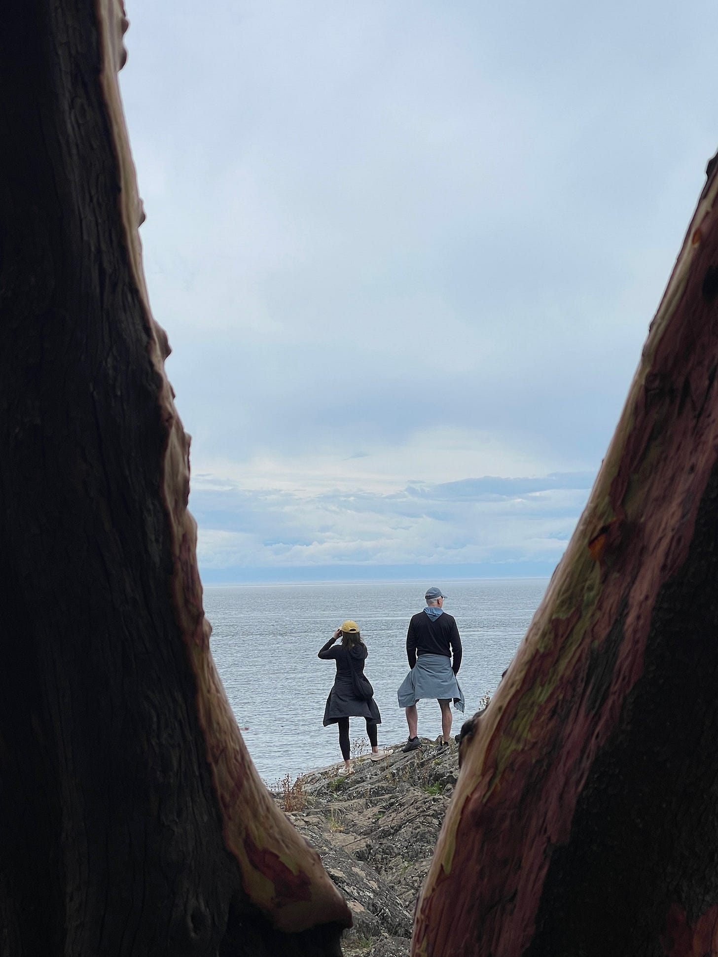 The author and her dad stand on a cliff, seen from the back, between two tree trunks.