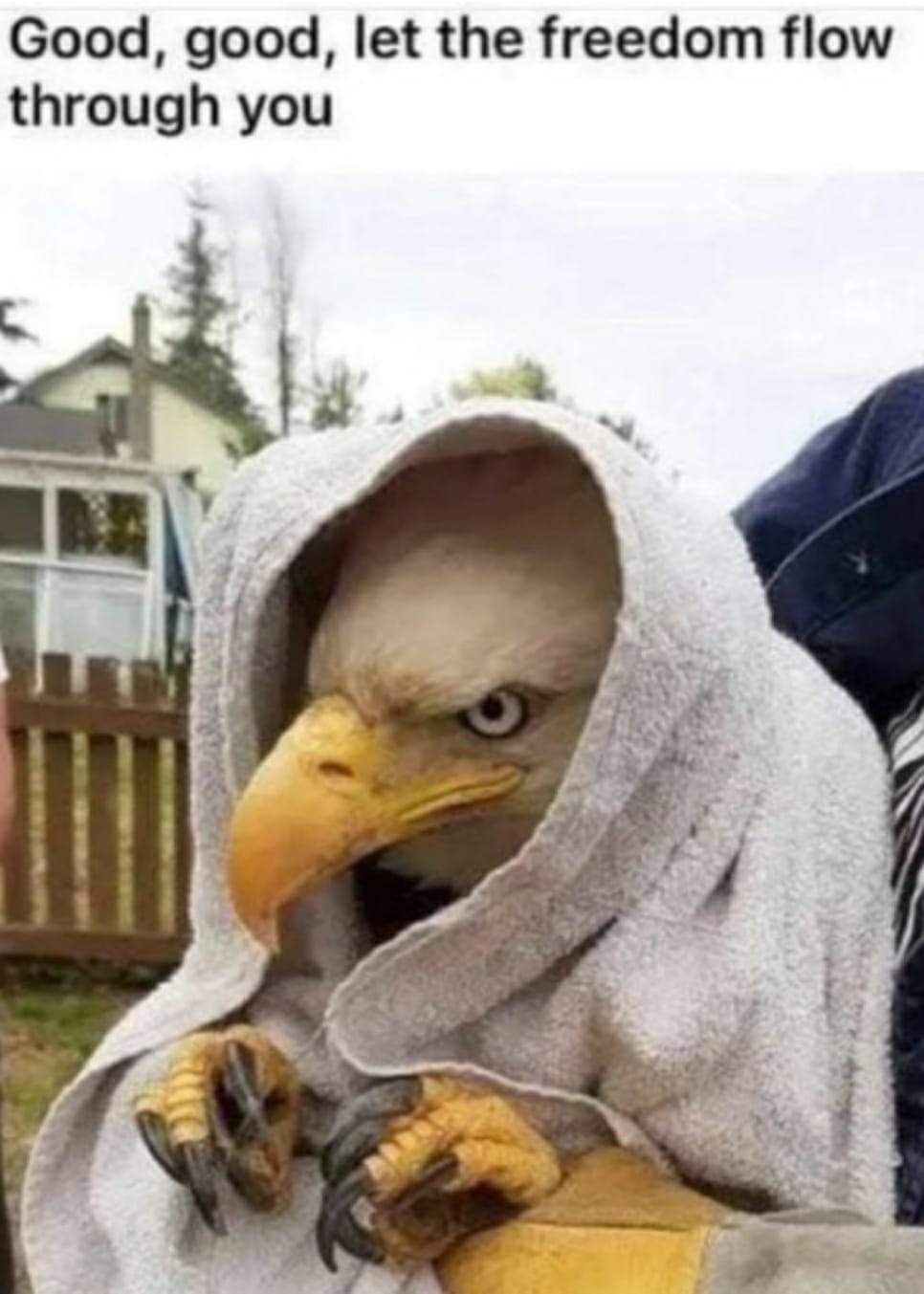 May be an image of text that says 'Good, good, let the freedom flow through you you'