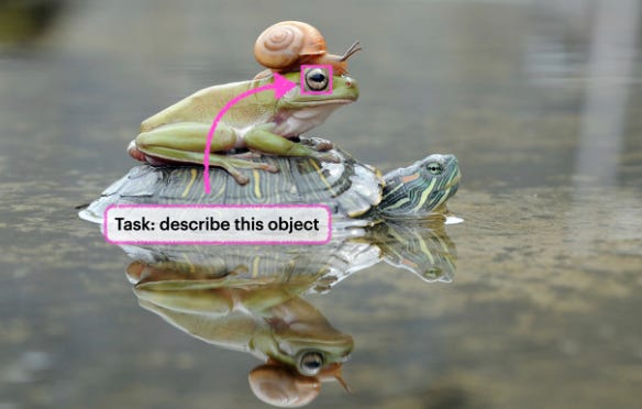 A frog and a snail on a turtle
AI-generated content may be incorrect. A frog and a snail on a turtle
AI-generated content may be incorrect.