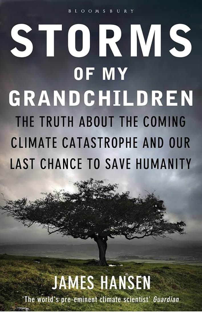 Storms Of My Grandchildren: Hansen James: 9781408807460: Amazon.com: Books