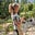 Sandra Irvine's avatar