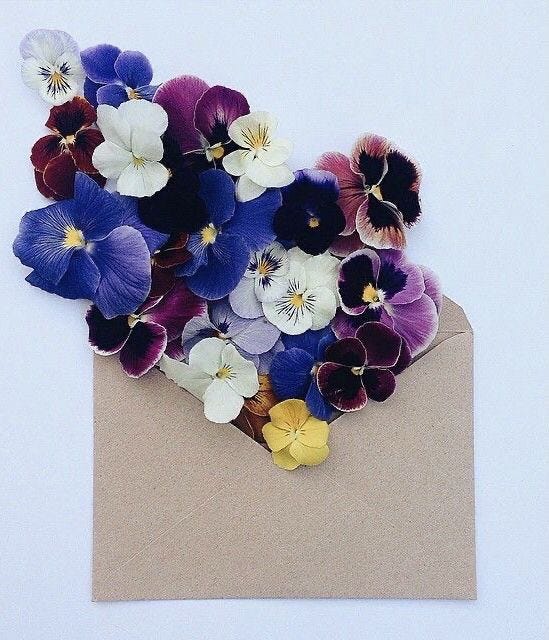 This may contain: an envelope filled with flowers on top of a table
