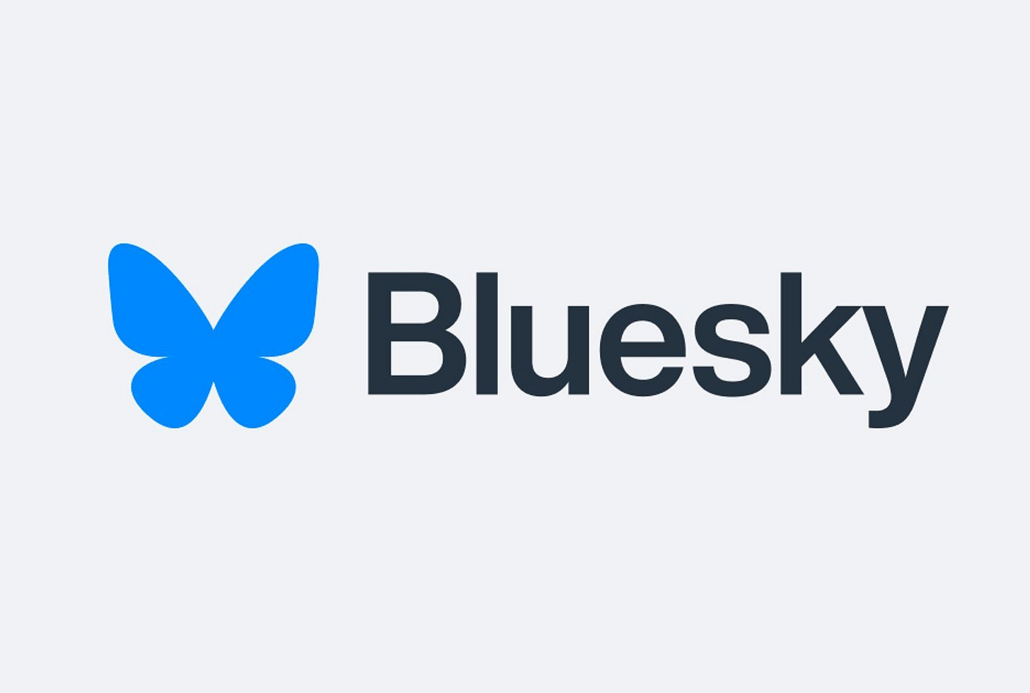 Bluesky posts are finally open to the public | The Verge