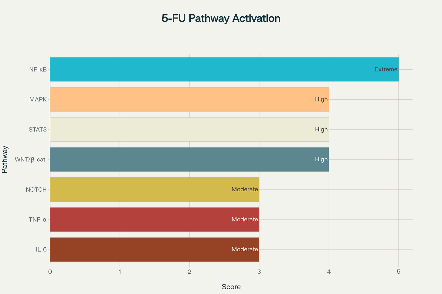 5-Fluorouracil Pathway Activation Levels - Ranked from Most to Least Activated