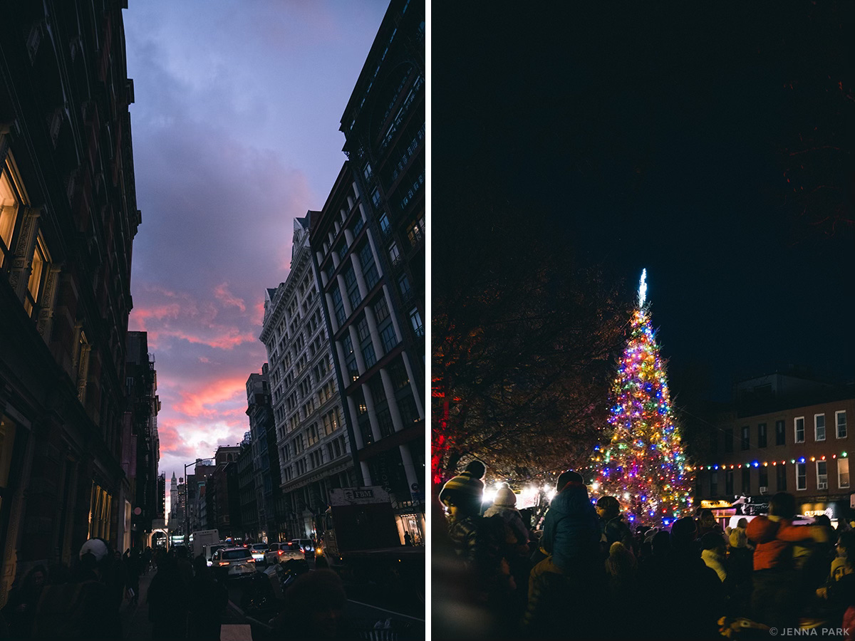 Soho, Brooklyn tree lighting