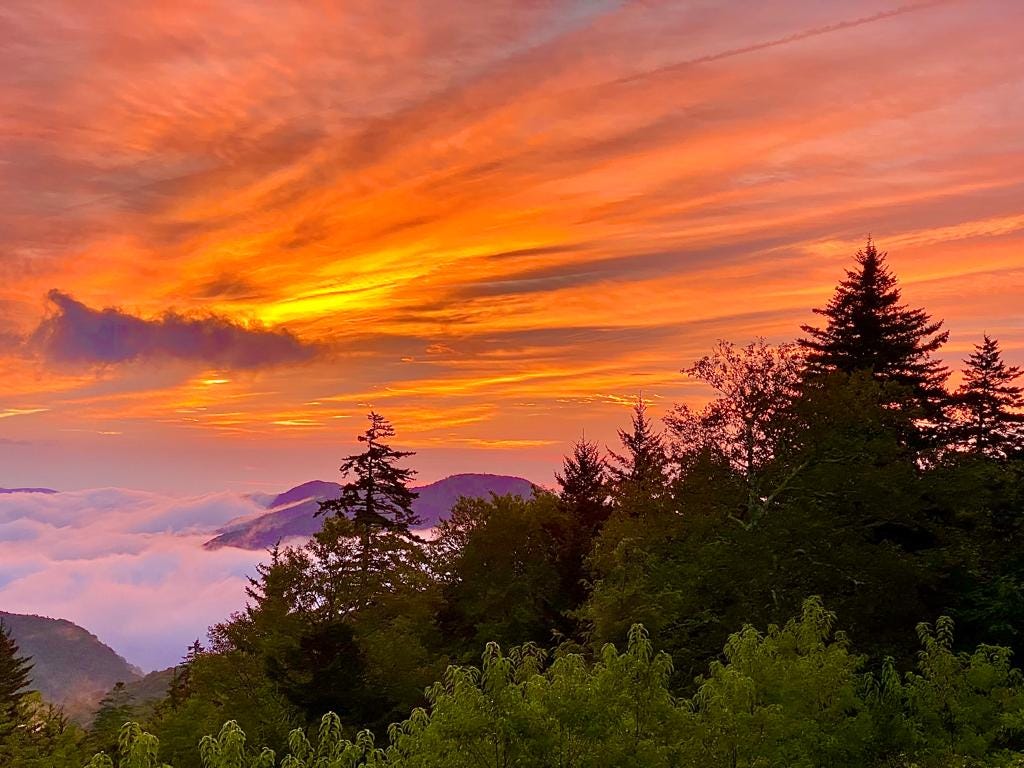 A vast, fiery sunset over cloud-covered mountains, with pines in the foreground