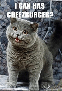 With 'LOLcats' Internet Fad, Anyone Can Get In on the Joke - WSJ