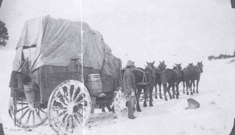 A horse drawn carriage with horses

AI-generated content may be incorrect.