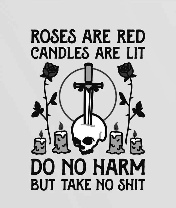 Black line art on gray background shows thorny roses extending from sides framing a central silver sword vertically piercing a white skull at the bottom. Three lit gray candles sit below the skull. Bold black text above reads Roses are red and Candles are lit. Below the skull reads Do no harm but take no shit.