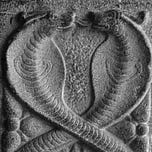 Symbols of the Self/Sherene Vismaya