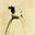 Bruce ZHANG's avatar
