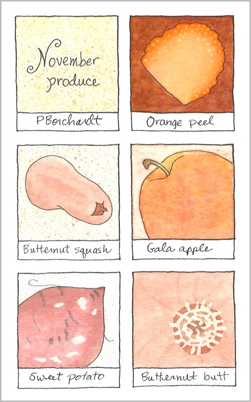 November produce (pen & watercolor): orange peel, butternut squash, Gala apple & sweet potato