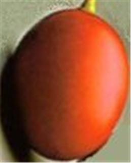 Arlene’s Newsletter