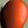 TreeTomato's avatar