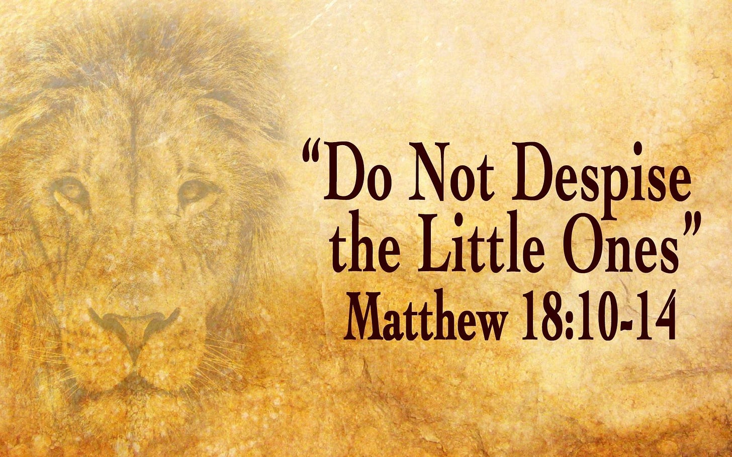 Do Not Despise the Little Ones - Matthew 18:10-14