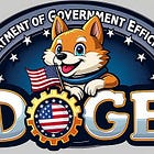 Research|DOGE Impact