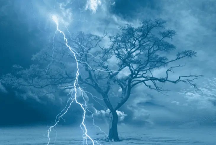 Why Does Lightning Strike Trees? - (Facts You Must Know!) Why Does Lightning Strike Trees? - (Facts You Must Know!)