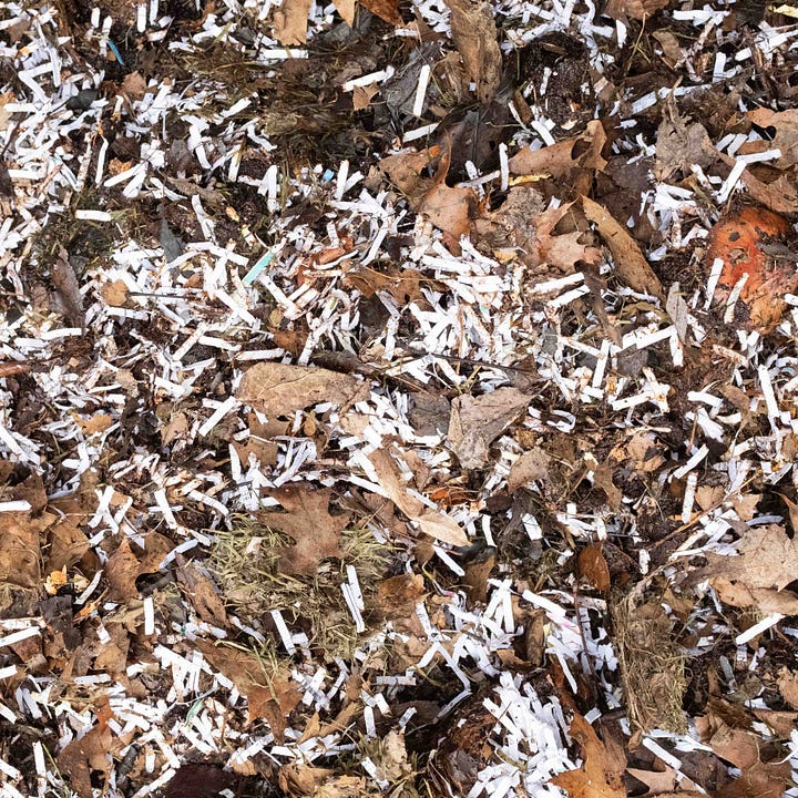 Diptych: Mussel shells on wet compost next to a pile of dried leaves and shredded paper.