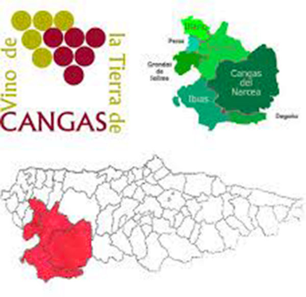 Nuevos estatutos de las DOP y las IGP para el vino y el chosco > De acebo y  jara