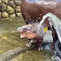 Brasidas's avatar
