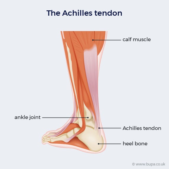 Achilles tendon rupture: Causes and treatment | Bupa UK