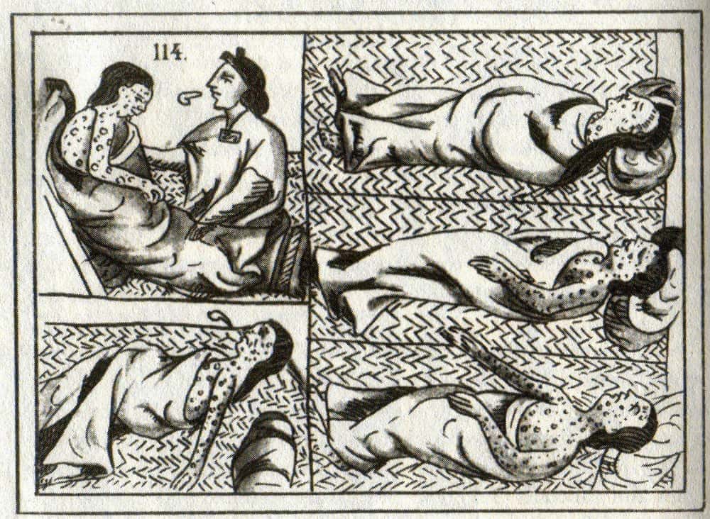 They Spread Devastating Diseases