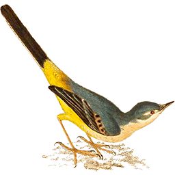 Ungated: Moving Interviews to the Top of the Funnel With Content Ungated: Moving Interviews to the Top of the Funnel With Content