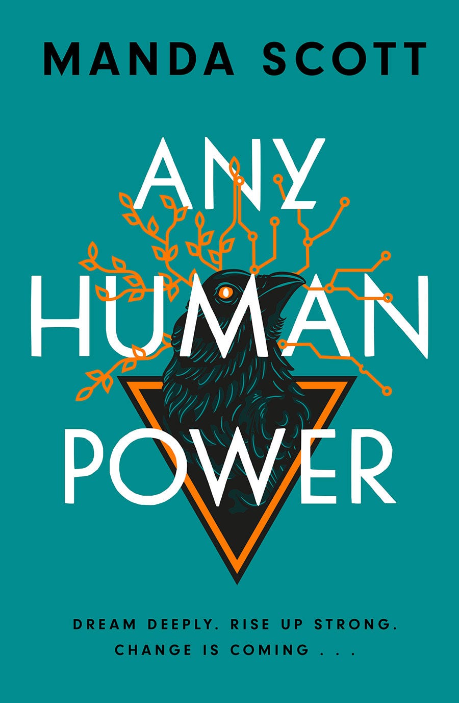 Book cover for Any Human Power by Manda Scott, turquoise cover with crow's head