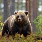 Tech Bloodbath, Sector Breakouts, and a Market Inflection