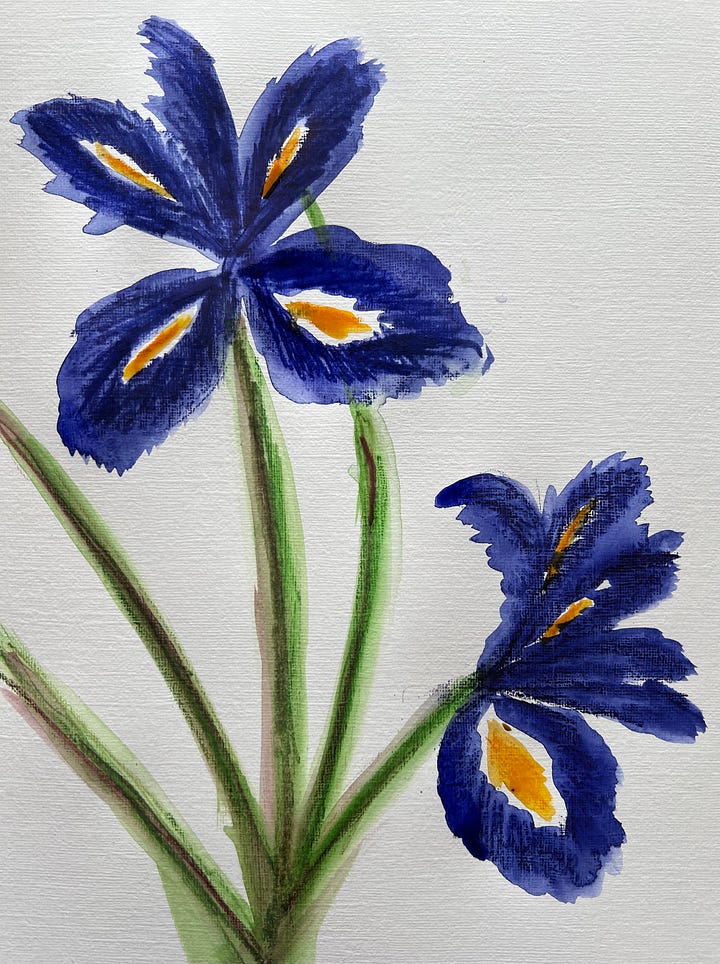 Painting of an Iris and a painting of a pot of daffodils with a poem next to them.