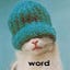 User's avatar