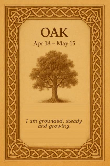 Oak Tree Affirmation (April 18–May 15): I am grounded, steady and growing. © 2026 Kim West. All rights reserved. Designed by Kim West for Sanctuary and created with AI assistance; may not be reproduced or used without permission.