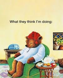 There is no cause for alarm. #trust #rest #whatimdoing #sleepytime #bear  #sleepytimebear #tealovers #resting #tea #celestialseasonings