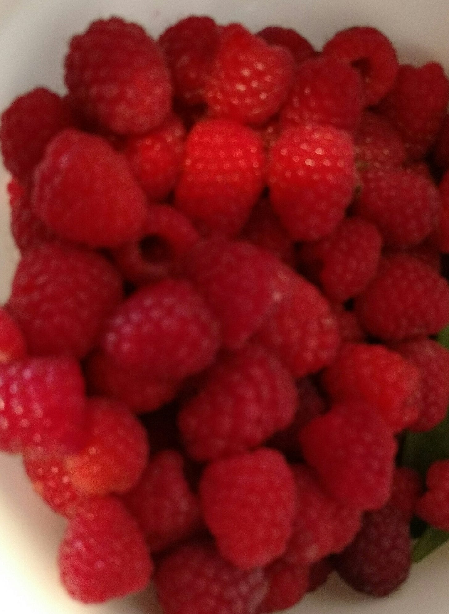 raspberries June 2017 raspberries June 2017