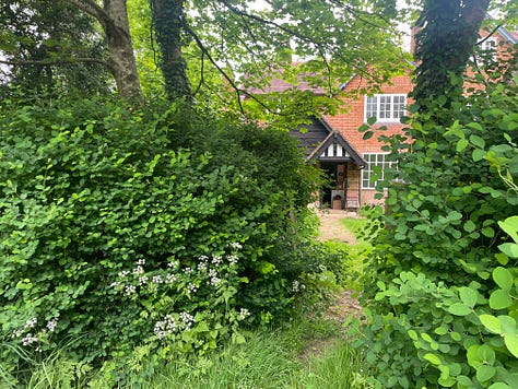  a cottage hidden by hedge; Buttercups in a field; a sign about Jarn Mound