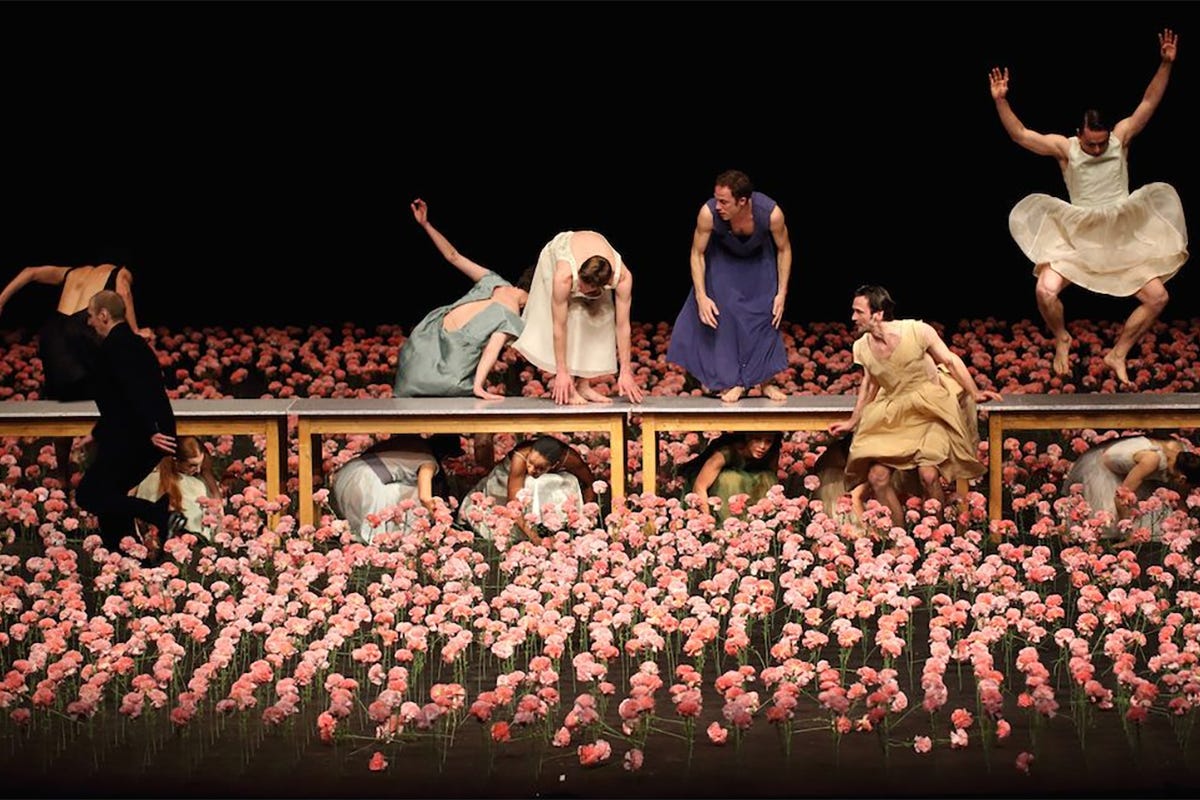 Performers move through a stage covered with thousands of pink carnations in a scene from Nelken, combining dance, theater, humor, and social observation.