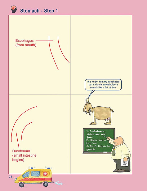 A few pages from the PDF Draw the Stomach download