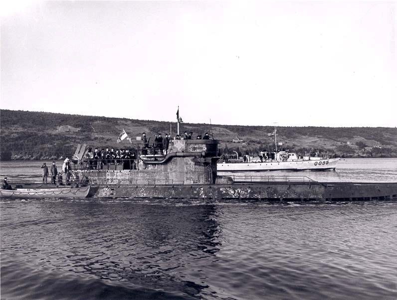 The Battle of Musquodoboit Harbour
