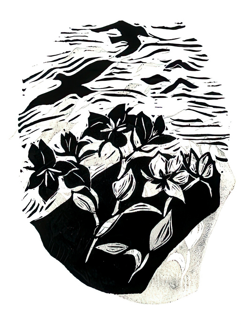 Title: Consider the Lilies
[Click for larger image view]