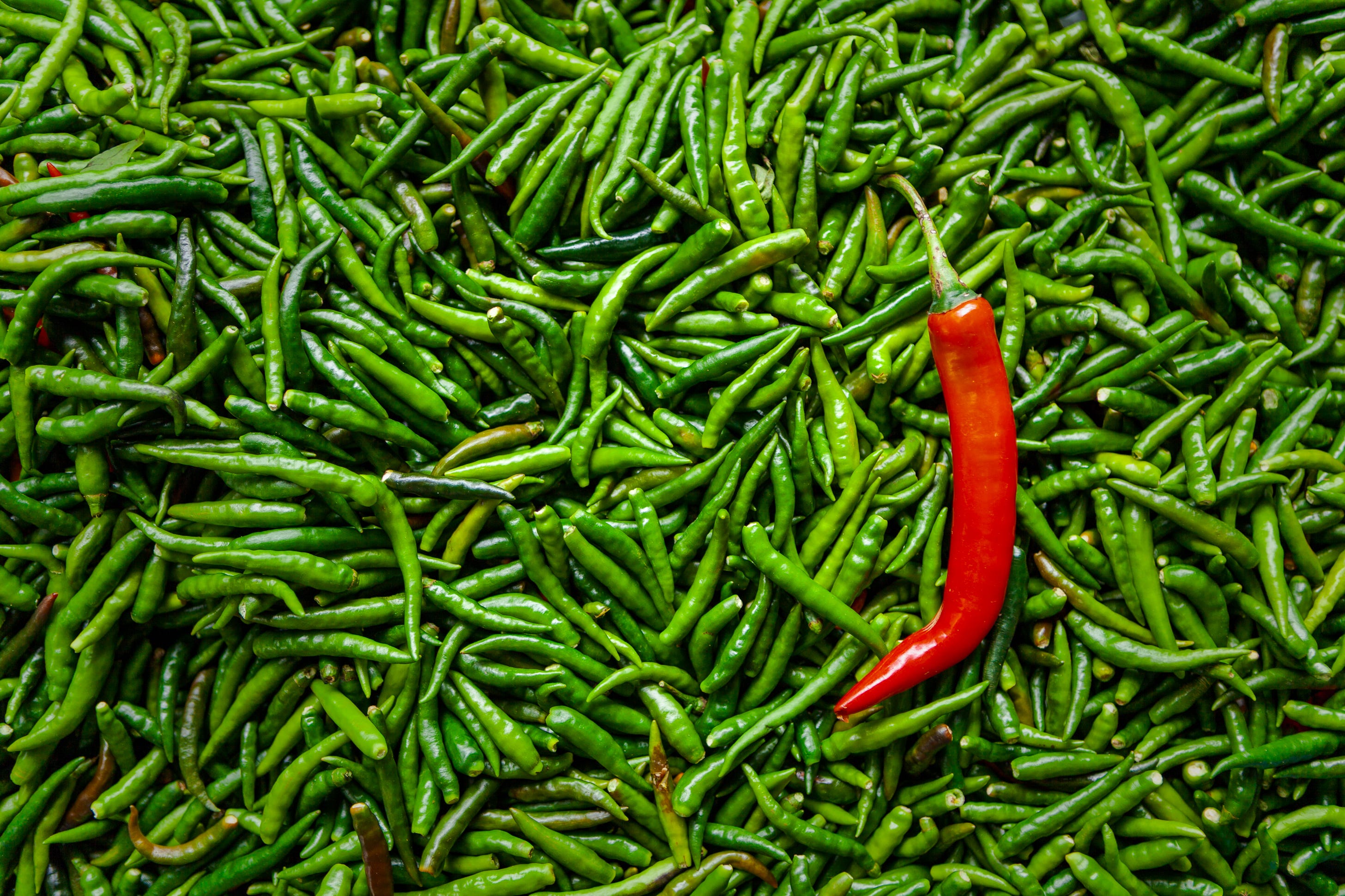 Chillies, Bangkok Street Market, Thailand. 1/100, ƒ/2.8, ISO 100, 45mm. © Gavin Gough Chillies, Bangkok Street Market, Thailand. 1/100, ƒ/2.8, ISO 100, 45mm. © Gavin Gough