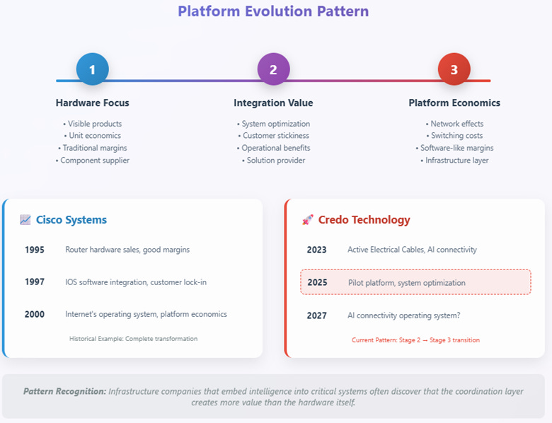 A diagram of a company

AI-generated content may be incorrect.