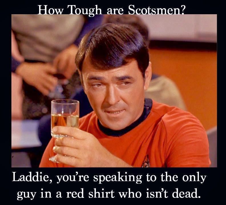10 Funny Memes That Will Make You Appreciate Star Trek's 50th Anniversary -  Belly Dance Eugene