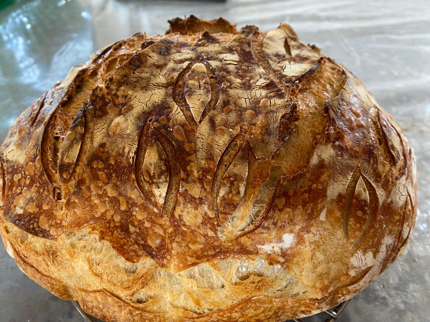 Sourdough Bread