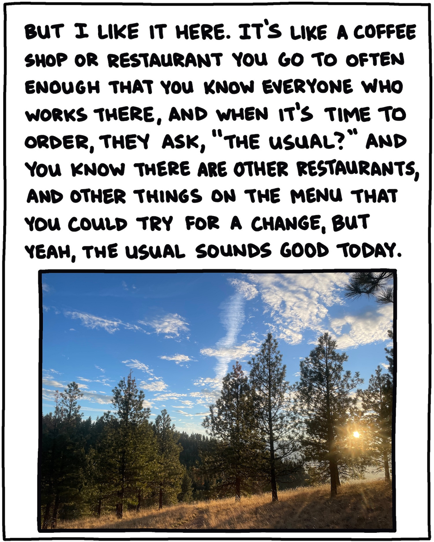 photo of trees and text: But I like it here. It’s like a coffee shop or restaurant you go to often enough that you know everyone who works there, and when it’s time to order, they ask, “The usual?” And you know there are other restaurants, and other things on the menu you could try for a change, but yeah, the usual sounds good today.