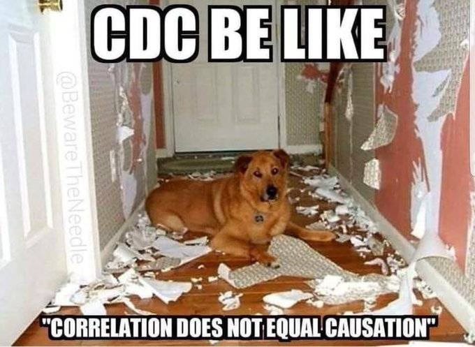 May be an image of dog and text that says "BE LIKE @Beware @BewareTheNeedle @BewareTheNan TheNeedle "CORRELATION DOES NOT EQUAL CAUSATION""