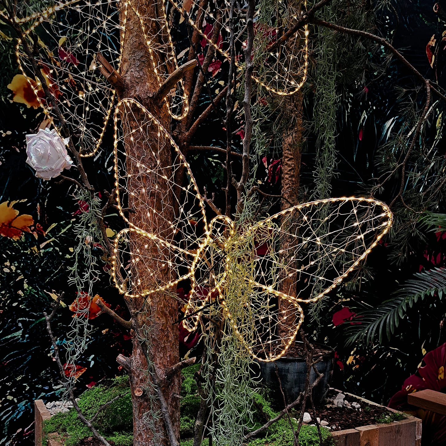 Whimsical butterfly