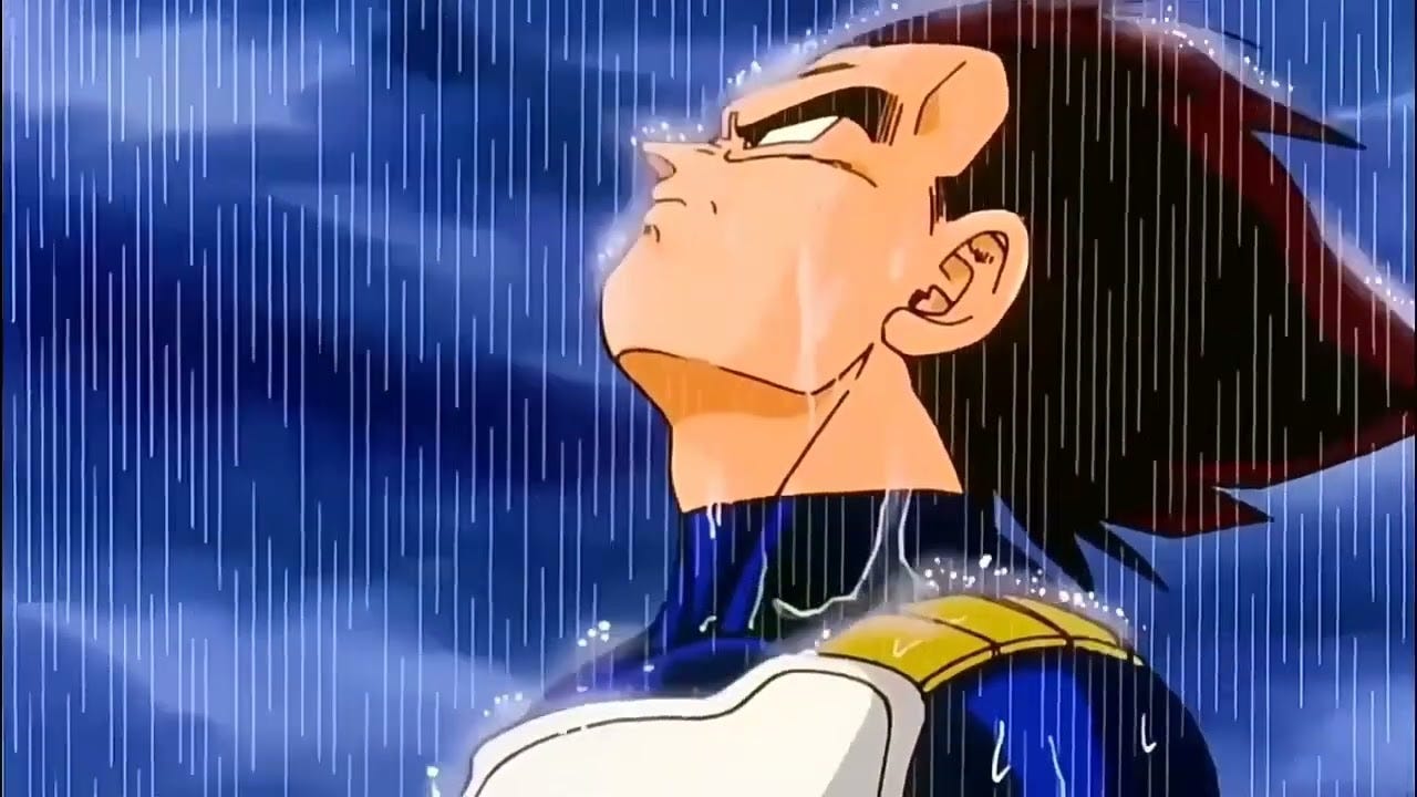 Vegeta in the rain Vegeta in the rain